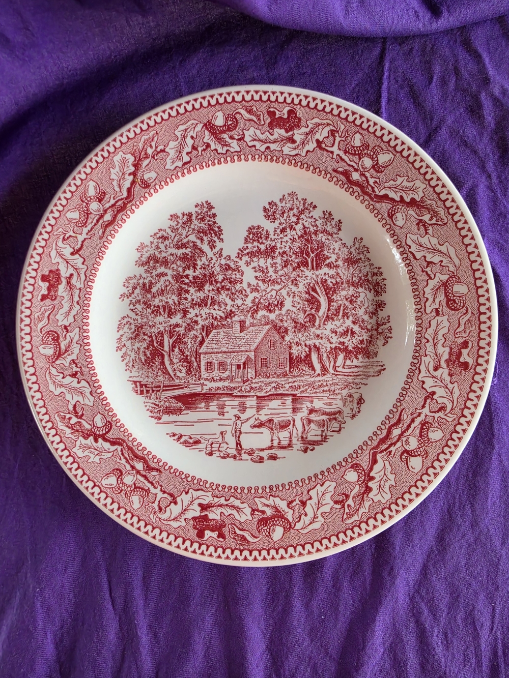 Vintage Dinner Plate, Memory Lane Pattern By Royal China